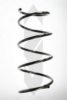SPIDAN 56192 Coil Spring
